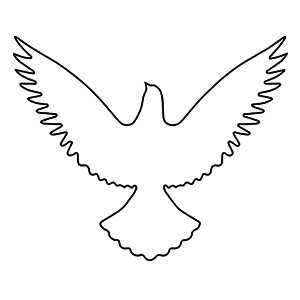 ELOM PARIS
